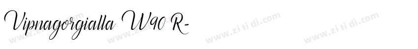 Vipnagorgialla W90 R字体转换